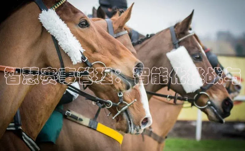 j9九游会登录入口首页旧版