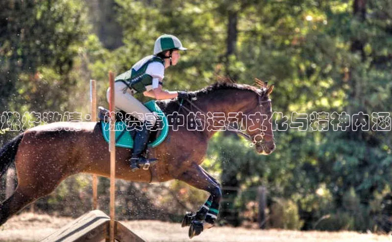 燃烧激情：燃赛事中的运动文化与精神内涵