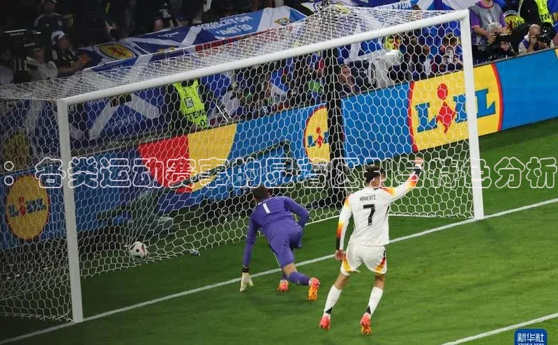 ：各类运动赛事的显著区别与特色分析