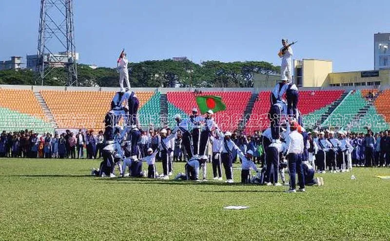 九游j9登录入口首页